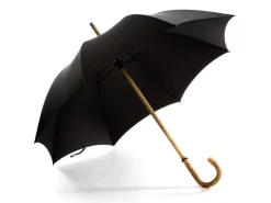 Umbrellas<Fox Umbrellas Solid Ash Black