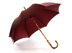 Umbrellas<Fox Umbrellas Solid Congo Bordeaux