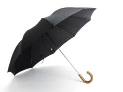Umbrellas<Fox Umbrellas Telescopic Malacca Handle Black