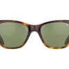 Sunglasses | Eyewear<American Optical Saratoga Tortoise Green Nylon Lens
