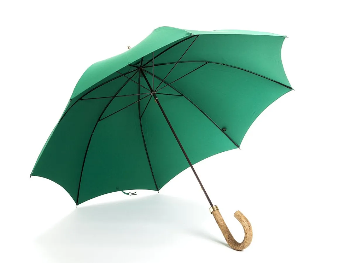 Umbrellas<Fox Umbrellas Tube Ash Handle Emerald