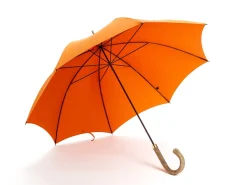 Umbrellas<Fox Umbrellas Tube Ash Handle Orange