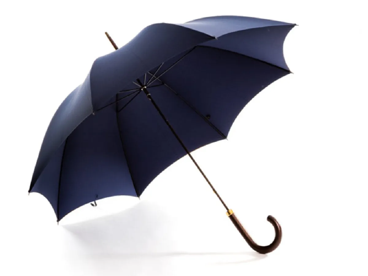 Umbrellas<Fox Umbrellas Tube Dark Brown Handle Navy